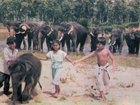 My Dear Kuttichathan